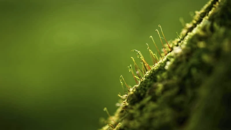 为什么模拟训练是篮球发展的重要环节_0